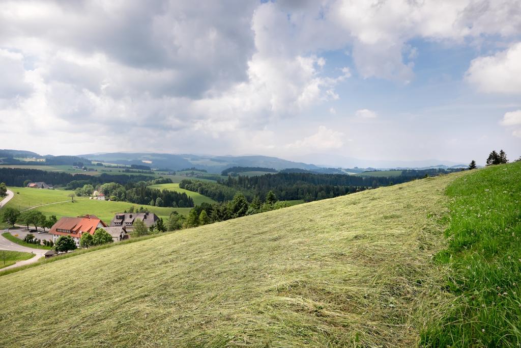 Gasthaus Sonne Neuhaeusle Sankt Margen Luaran gambar